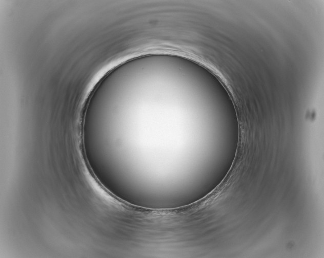 X0000091851531200709050925