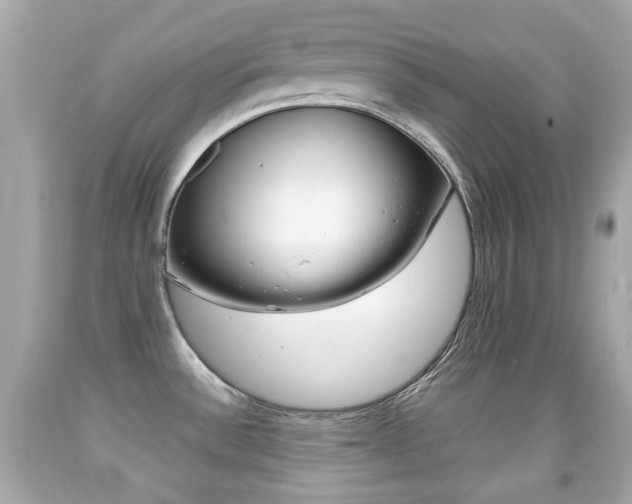 X0000091851532200709050925