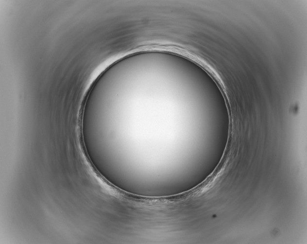 X0000091851533200709050925