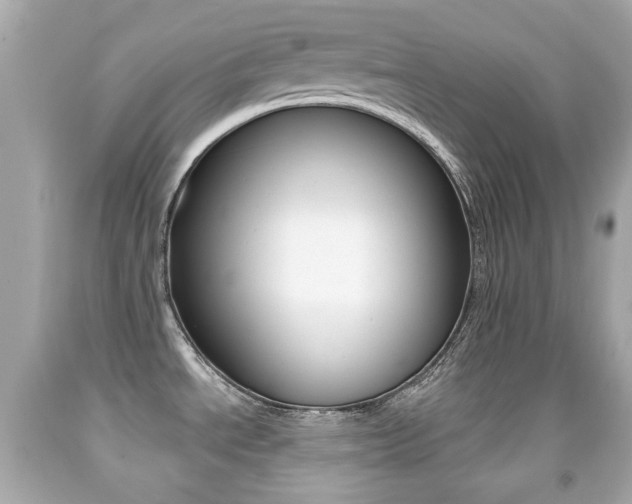 X0000091851534200709050925