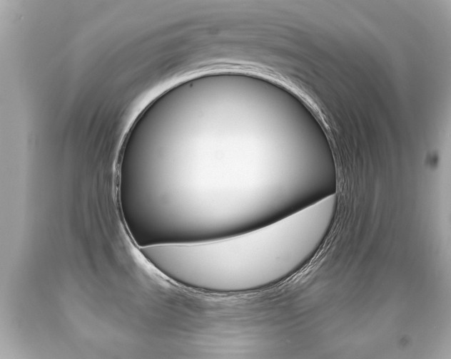 X0000091851535200709050925
