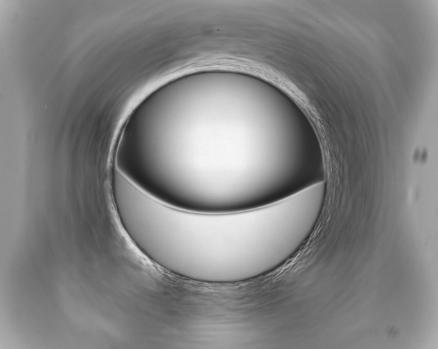 X0000091851536200709050925