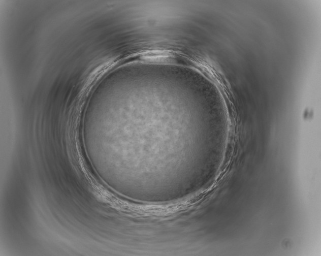 X0000091850001200709051156