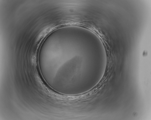 X0000091850002200709051156