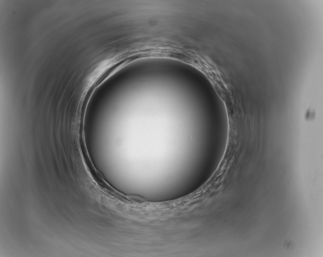X0000091850003200709051156
