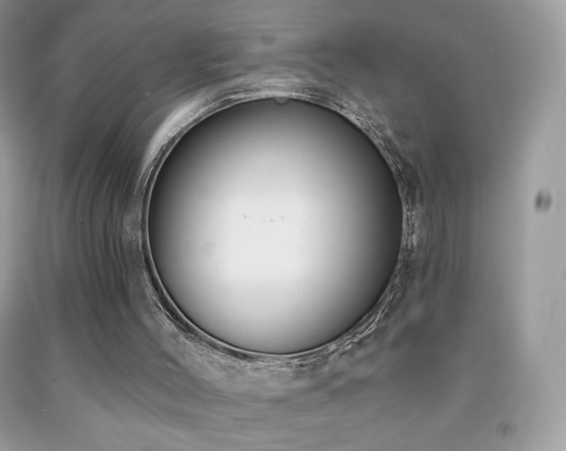X0000091850004200709051156