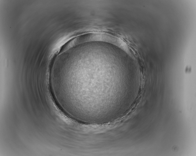X0000091850005200709051156