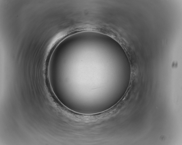 X0000091850006200709051156