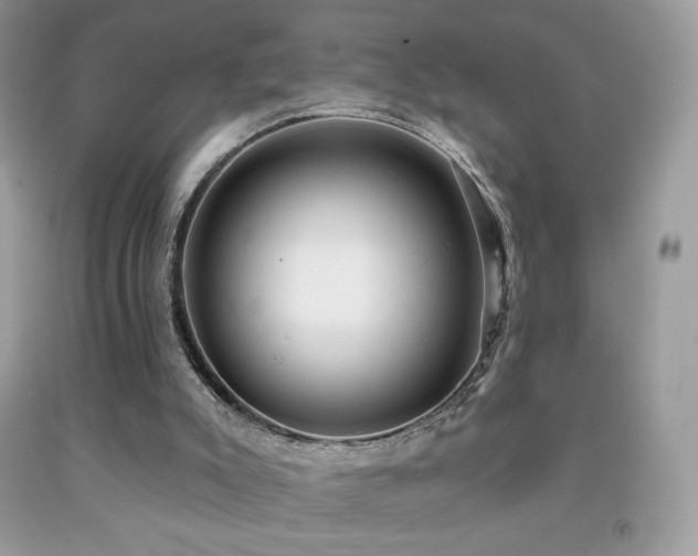 X0000091850007200709051156