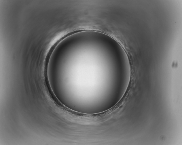X0000091850008200709051156