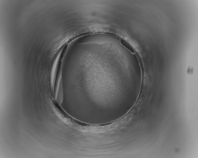 X0000091850009200709051156