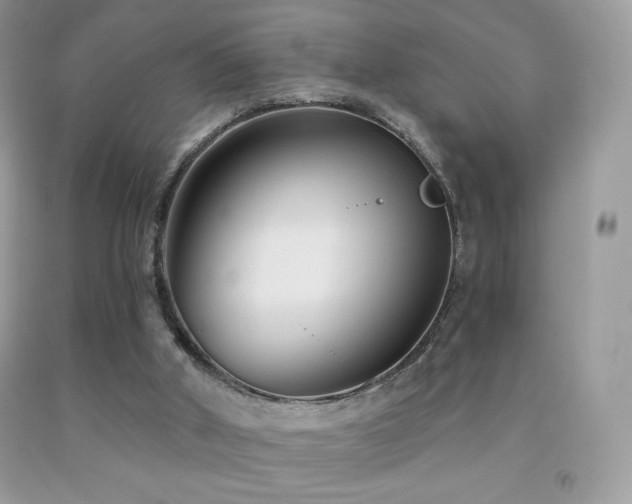 X0000091850010200709051156