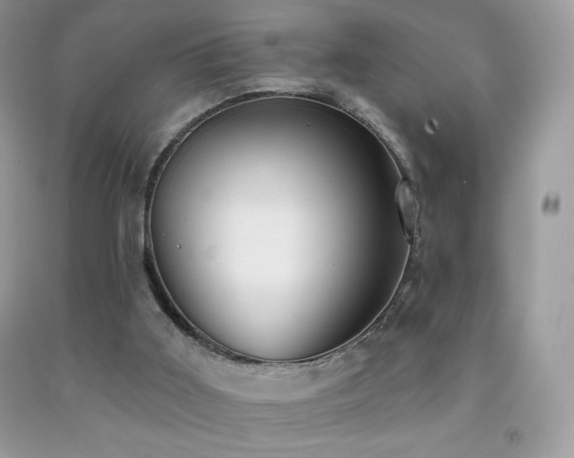 X0000091850011200709051156
