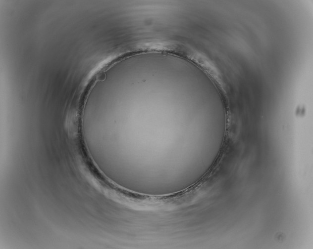 X0000091850012200709051156