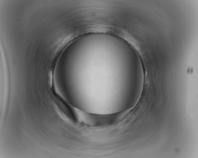 X0000091850013200709051156