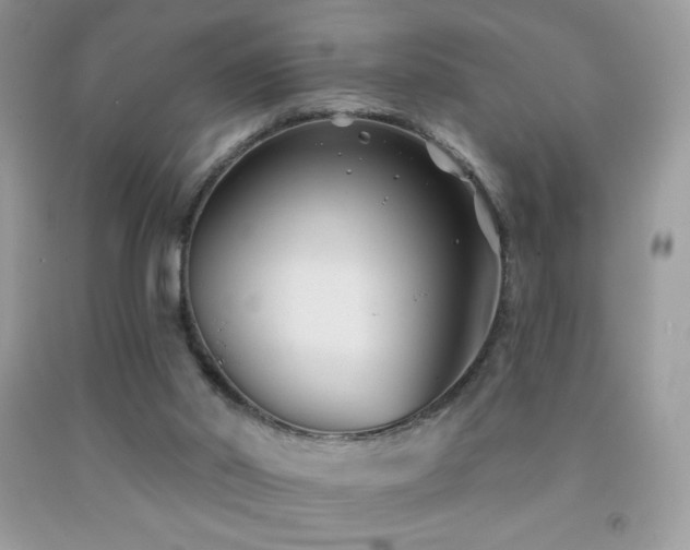 X0000091850014200709051156