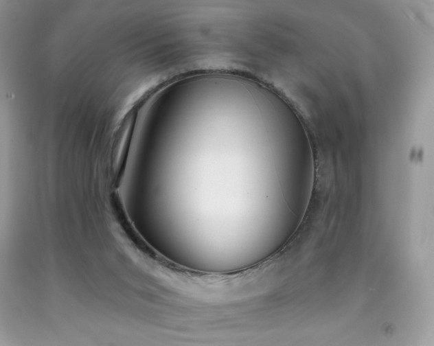 X0000091850015200709051156