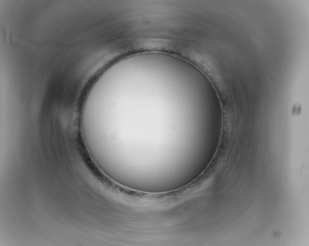 X0000091850016200709051156