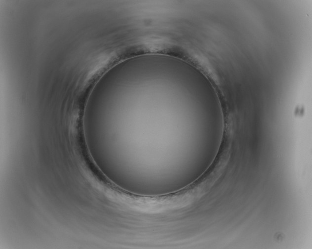 X0000091850018200709051156