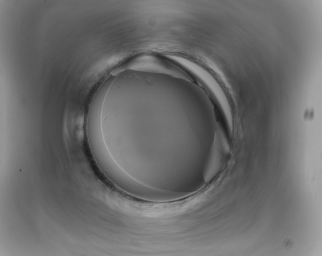 X0000091850019200709051156