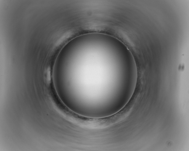 X0000091850020200709051156