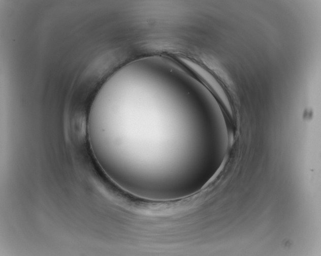 X0000091850021200709051156