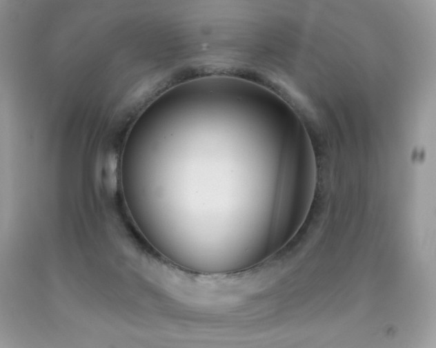X0000091850022200709051156