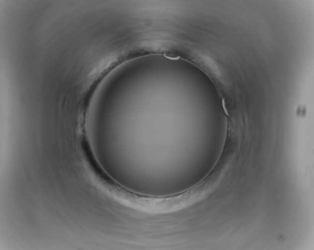 X0000091850023200709051156