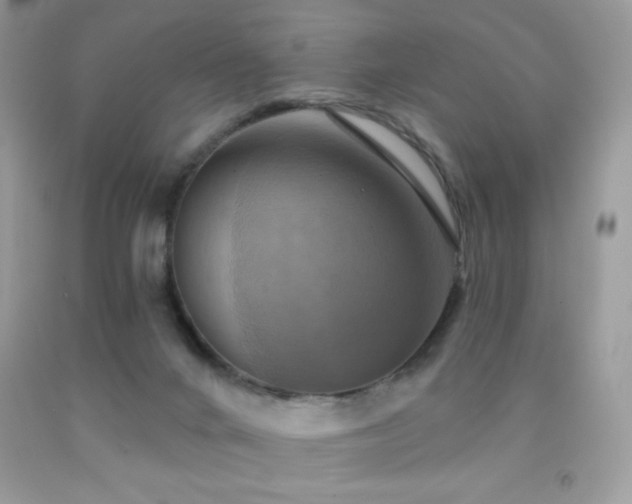 X0000091850024200709051156