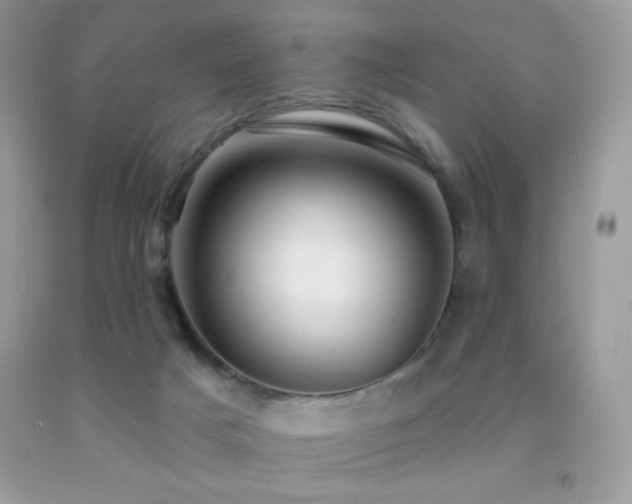 X0000091850025200709051156