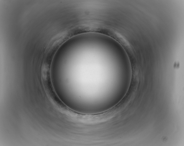 X0000091850026200709051156