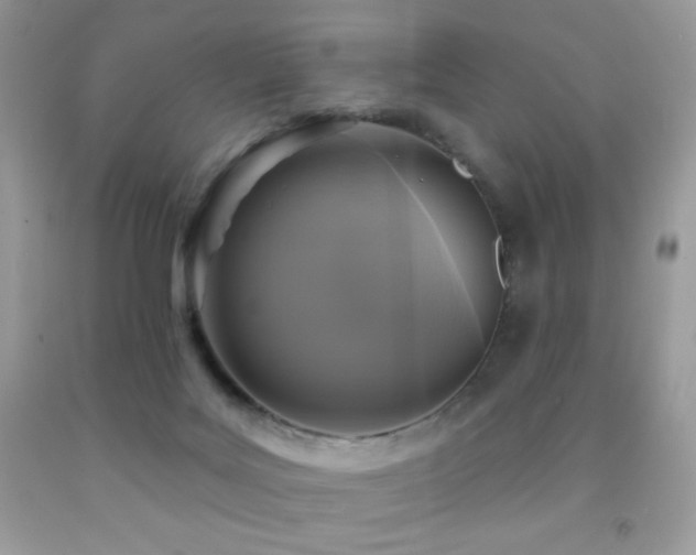 X0000091850027200709051156