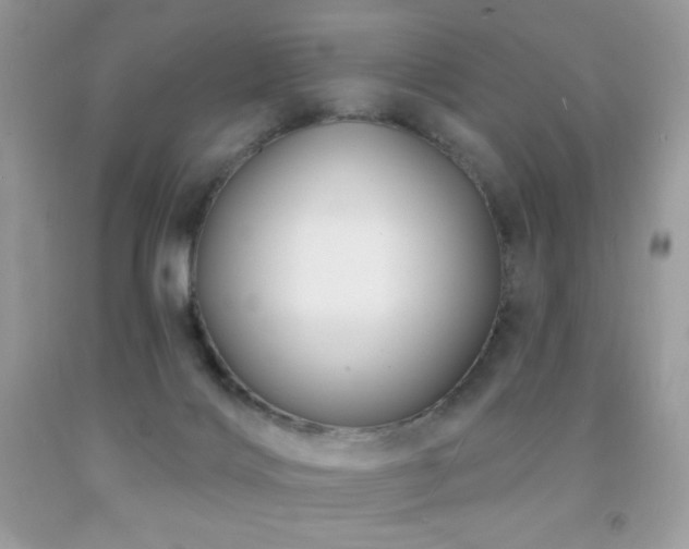 X0000091850028200709051156