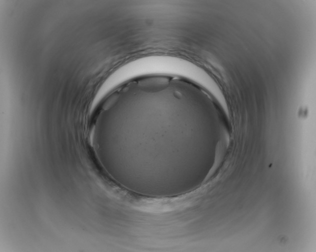X0000091850029200709051156