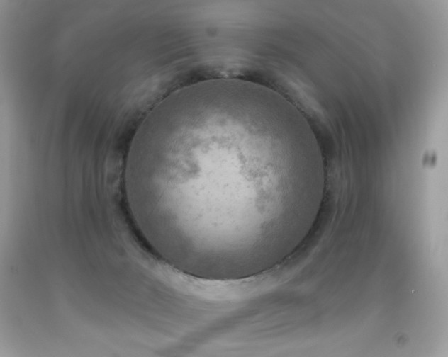 X0000091850030200709051156