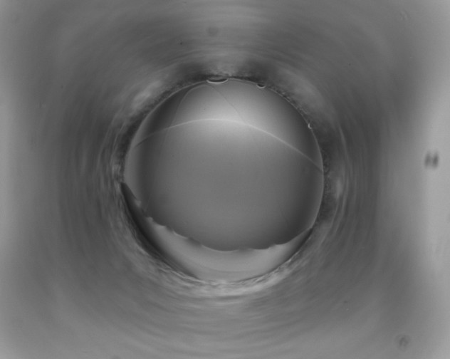 X0000091850031200709051156