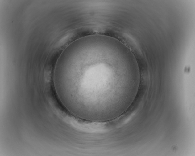 X0000091850032200709051156