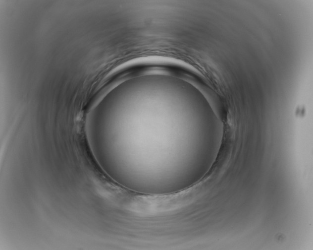 X0000091850033200709051156