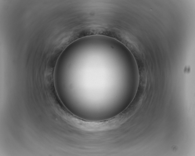 X0000091850034200709051156