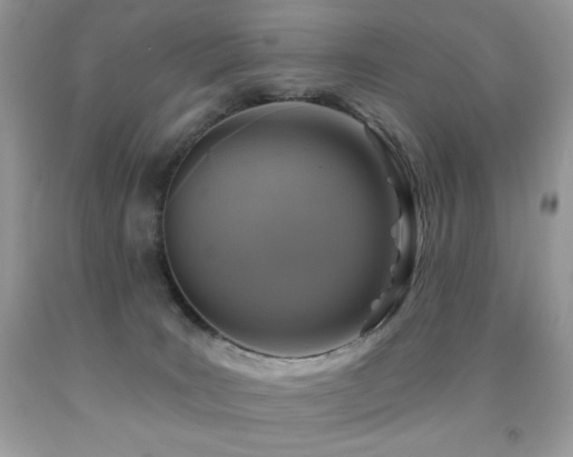 X0000091850035200709051156