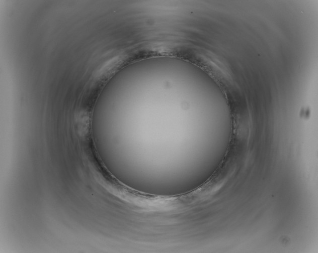 X0000091850036200709051156
