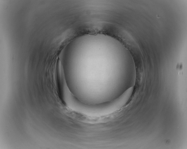 X0000091850037200709051156