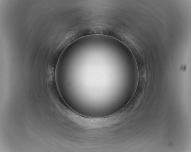 X0000091850038200709051156