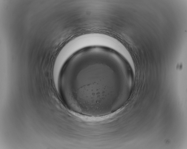 X0000091850039200709051156