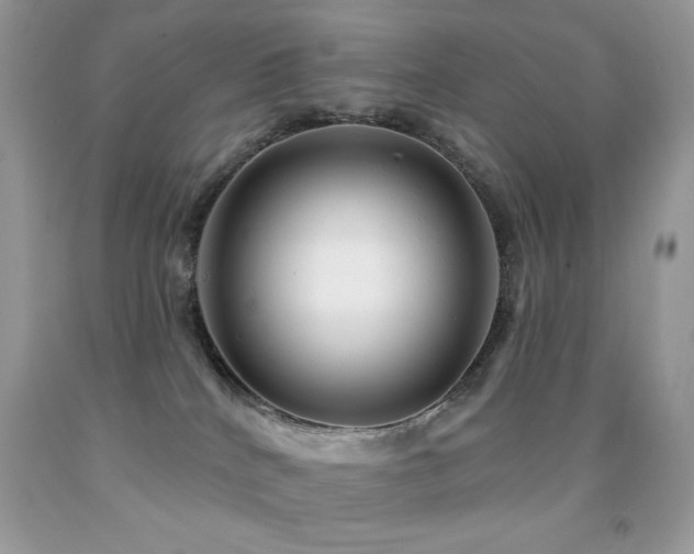 X0000091850040200709051156