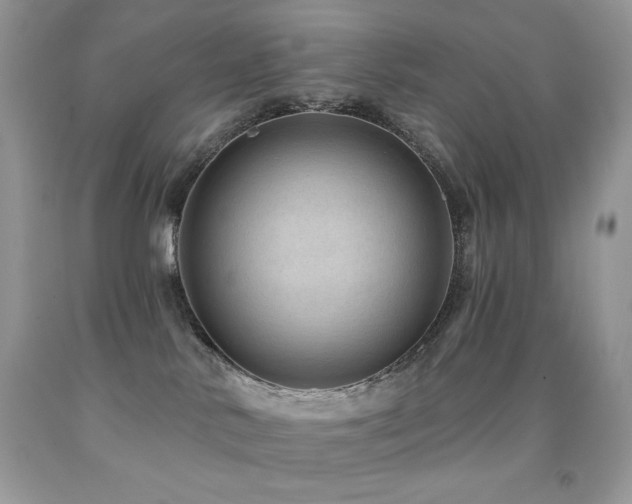 X0000091850042200709051156