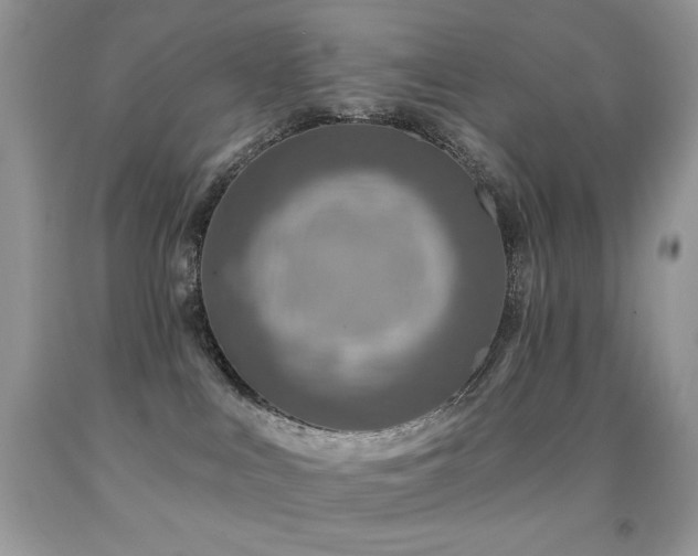 X0000091850043200709051156