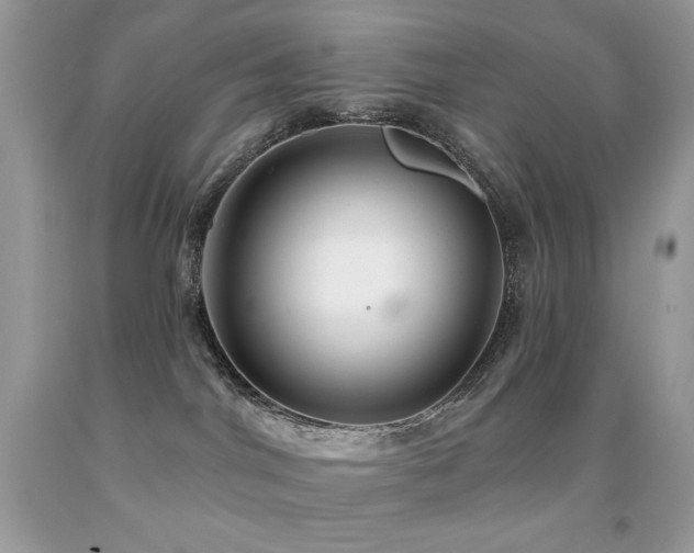 X0000091850044200709051156