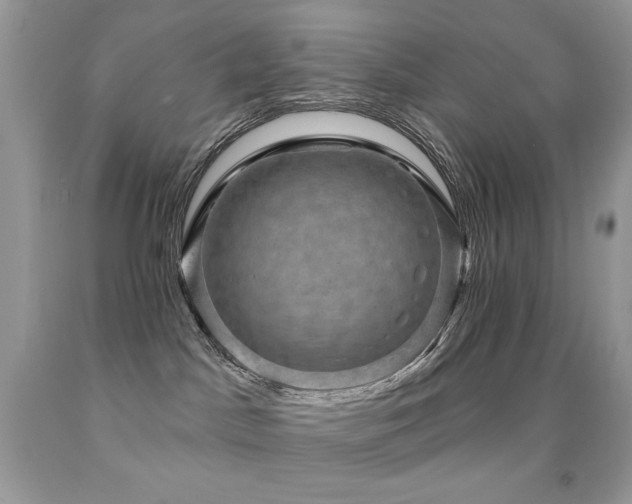 X0000091850045200709051156