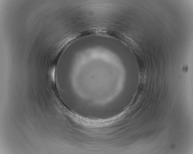 X0000091850047200709051155